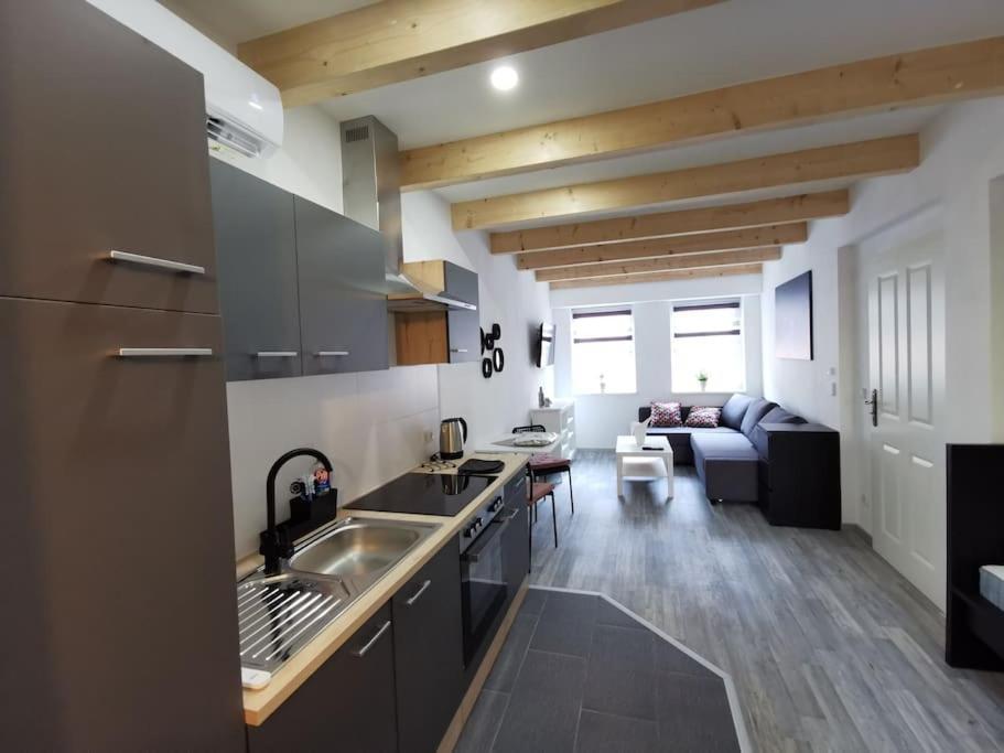 Altstadt-Apartment & Fewo Og Fuer Max 3 Pers Халденслебен Екстериор снимка